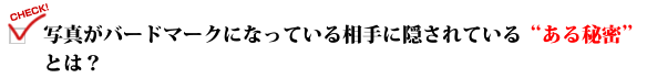 写真がバードマークになっている相手に隠されている"ある秘密"とは?